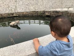 -白马涧龙池景区
