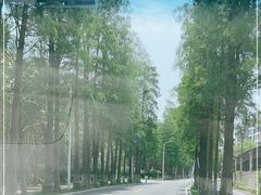 -南沙蒲洲花园