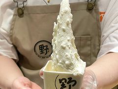 -野人先生Gelato(上海长宁龙之梦店)