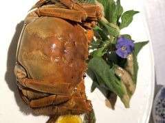 -Yan Ting 宴庭中餐厅(上海静安瑞吉酒店)