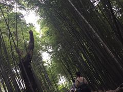 -西湖风景区十里琅珰-五云山