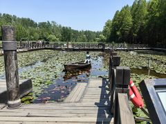 -溱湖国家湿地公园