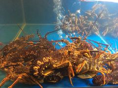 -同乐酒楼(皇后镇店)