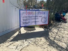 -秀丽东方