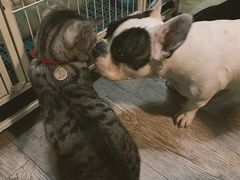 -小时光咖啡馆(北锣鼓巷店)