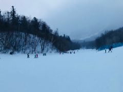 -亚布力新体委滑雪场