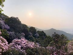 -梧桐山风景名胜区