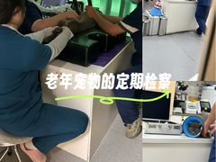 -康成宠物医院24H·CT·核磁共振