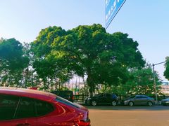 -继红顺河抄手名小吃