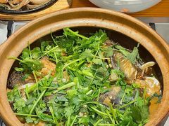 -九道菜有鸡鱼头(石鼓路店)
