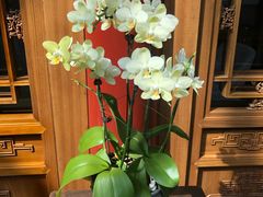 -北京古城老院厉晓麟精致菜