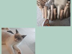 -泰国佛·塔罗·泰牌狐仙古曼