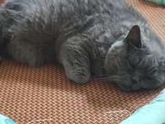 -Rabbit Cafe私房西餐甜点咖啡(栖霞路店)