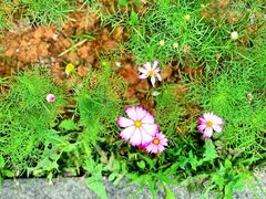 -漩门湾国家湿地公园