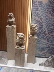 -MJ skin care国际皮肤管理中心