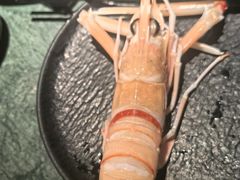 -牛New寿喜烧(中山公园龙之梦店)