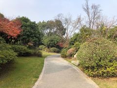 -桃花岛景观公园