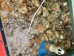 -雅逸居海鲜小厨