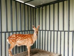 -洪湖家庭农场·团建·露营·会议