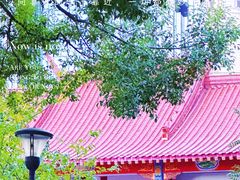 -宝岛公园