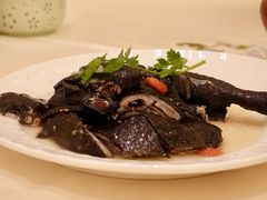 药膳鸡-沙龙酒家