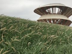 -光明小镇欢乐田园