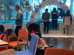 -帝企鹅自助餐厅•儿童岛•真企鹅(长隆企鹅酒店)