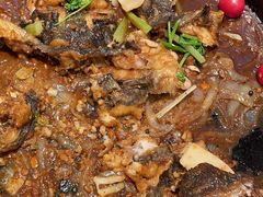 -老板恋上鱼(印象城店)