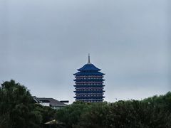 -苏州太湖国家湿地公园