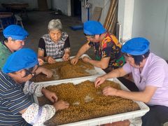 -苏州市吴中区光福窑上花果蜜饯厂