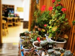 -四姑娘山阿巴郎·藏式花园餐厅