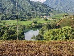 -午潮山国家森林公园