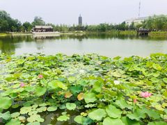 -西海子公园