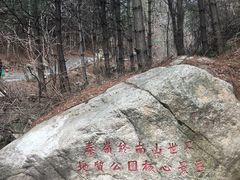 -王顺山国家森林公园