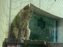-青藏高原野生动物园