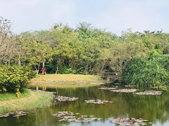 -白沙门生态公园