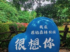 -西双版纳原始森林公园