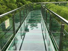 -陶祖圣境风景区