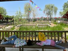 -同銮特种养殖场·龙虾垂钓