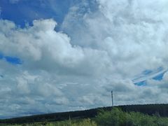 -御道口草原森林风景区