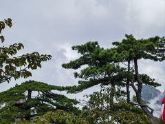 -黄山风景区
