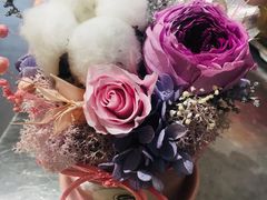 -植物学家的女儿(北马道巷店)