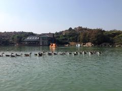 -白马涧龙池景区
