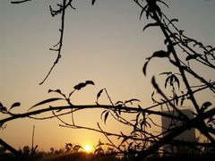 -成都中医药大学(温江校区)