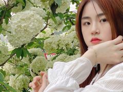 -大龙山(地铁站)