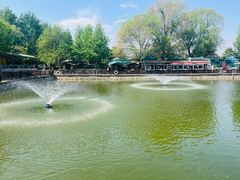 -尚庄度假村·庭台树下·户外烧烤·团建CS·轰趴营地(上庄水库店)