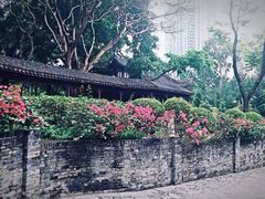 -九龙寨城公园
