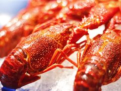 -潮三爷砂锅焗海鲜·生腌·海鲜粥(朝晖店)