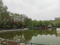 -莲湖公园