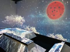 -火影忍者动画多媒体展